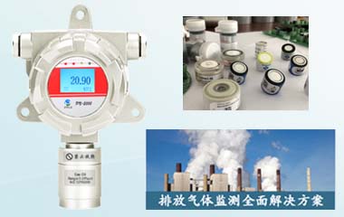 制氧機(jī)氧氣濃度檢測儀